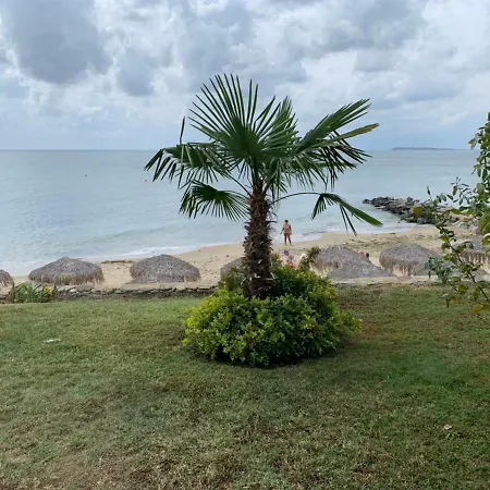 Jacky's - в влас Свети-Влас