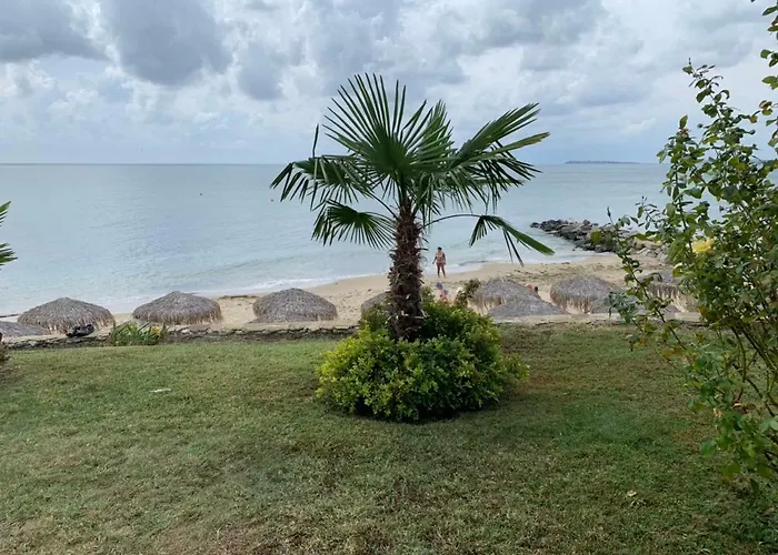 Jacky's - в влас Sveti Vlas